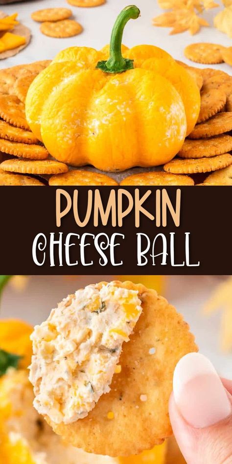 Pumpkin Shaped Cheese Ball, Pumpkin Cheese Ball Recipe, Shaped Cheese Ball, Ball Cheese, Pumpkin Cheese Ball, Pumpkin Appetizers, Pumpkin Snack, Thanksgiving Brunch, Halloween Party Appetizers