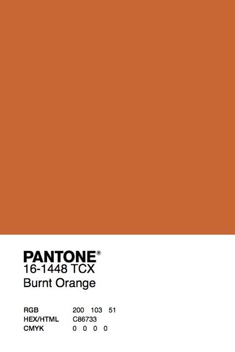 Pantone Burnt Orange, Burnt Orange Color Swatch, Colour Pantone, Pantone Orange, Foyer Paint Colors, Industrial Living Room Design, Yellow Pantone, Painting Corner, Pantone Colour Palettes