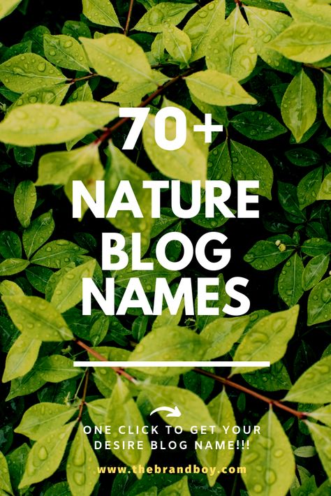 Here are Catchy and Good Nature blog names ideas for you Magazine Name Ideas, Cool Names For Instagram, Names For Companies, Names Nature, Blog Name Ideas, Creative Instagram Names, Youtube Channel Name Ideas, Free Business Logo, Nature Names