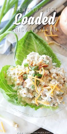 World's Best Loaded Chicken Salad Recipe - This is loaded with cheddar cheese… Loaded Chicken Salad, Creamy Chicken Salad, Best Chicken Salad Recipe, Loaded Chicken, Cream Chicken, Sour Cream Chicken, Chicken Salad Recipe, Chicken Salad Recipes, Creamy Chicken