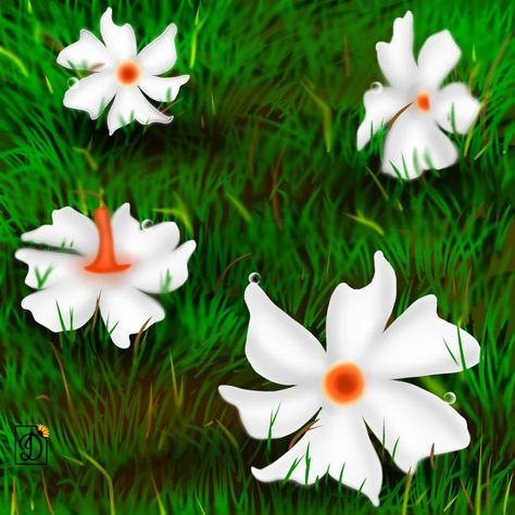 Parijat Flower Drawing, Parijat Flower, Flower Drawing, Drawings, Flowers, Quick Saves, Art