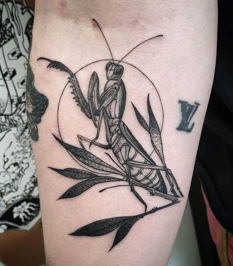 Mantis Tattoo, Nature Tattoo Sleeve, Tatoo Inspiration, Bug Tattoo, Insect Tattoo, Modern Tattoos, Praying Mantis, Black Ink Tattoos, Dope Tattoos