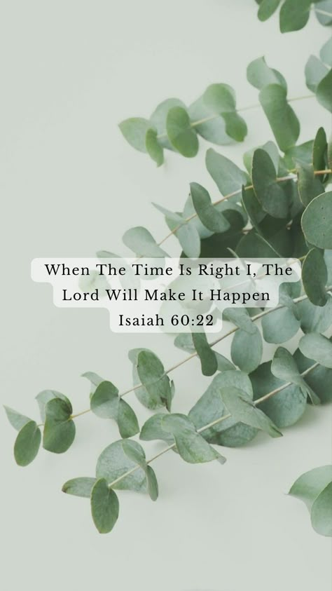 Green Love Aesthetic, Small Girl Big God, Good Morning Bible Quotes, Morning Bible Quotes, Office Motivation, Leaves Wallpaper Iphone, A Time For Everything, Godly Reminders, Motivated Quotes