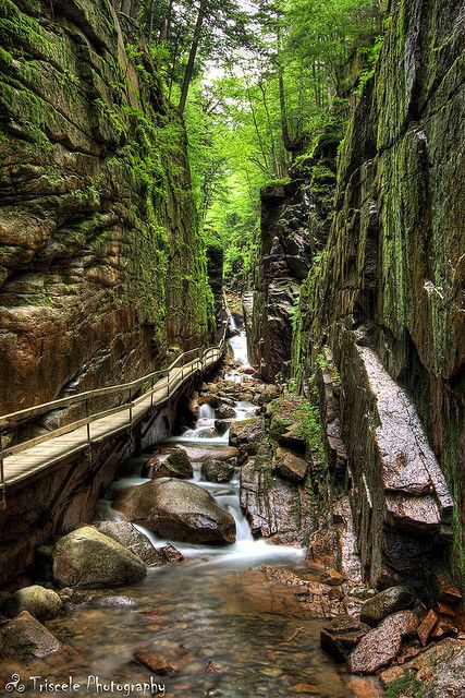 Flume Gorge - Franconia Notch State Park- New Hampshire Flume Gorge, Franconia Notch, The Oregon Trail, Color Pictures, White Mountains, Playing Card Deck, Card Deck, Vacation Places, Playing Card