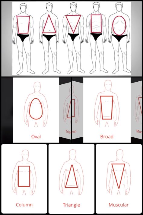 Men upper body shapes - Oval, Column, Triangle, Broad and Muscular. Defining Yourself, Male Body Shapes, Body Shape Guide, Face Art Drawing, Mens Business Casual Outfits, Minimalist Fashion Men, Anatomy Tutorial, Stylish Men Casual, Body Proportions