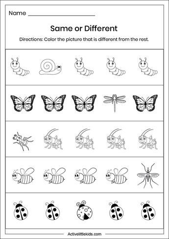 Free Pre K Worksheets, Preschool Matching Worksheets, Free Pre K Printable Worksheets, Insects Worksheets Preschool, Insect Worksheets Preschool, Insects Worksheets For Kids, Free Kindergarten Worksheets Printable, Same Different Worksheet, Pre K Worksheets Free Printables Preschool