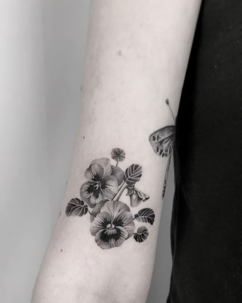 Pansie Tattoo Black And White, Embroidery Tattoo Black And White, Pansies Tattoo Black And White, Pansies Flower Tattoo, Aconitum Tattoo, Pansy Flower Tattoo Black And White, Violet Tattoo Flower Black And White, African Violet Tattoo Black And White, Violet Flower Tattoo Black And White