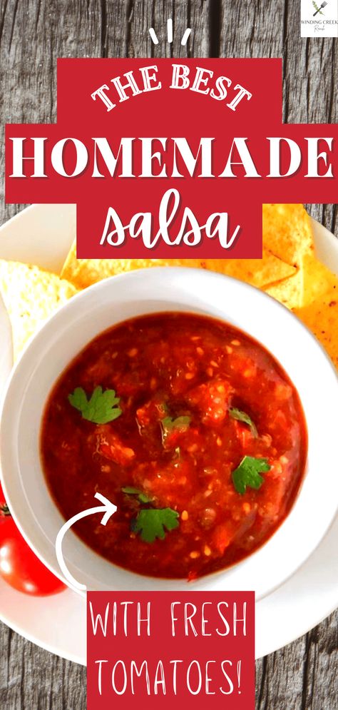 Homemade Salsa Best Chunky Salsa Recipe, Homemade Chunky Salsa, Chunky Salsa Recipe, Mexican Salsa, Chunky Salsa, Fresh Tomato Salsa, White Bowl, Homemade Salsa, Red Onions