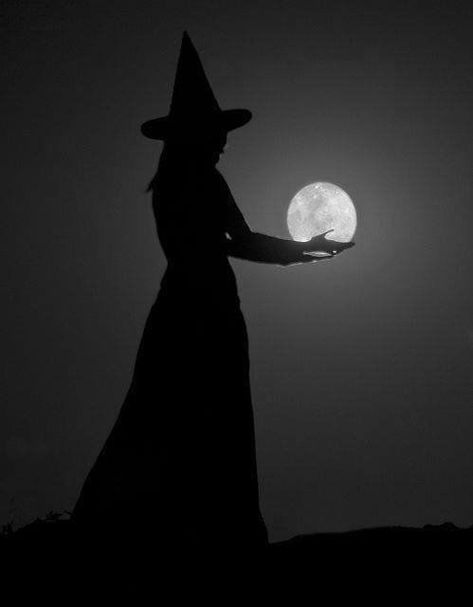 Witch Photography, Scary Paintings, Witch Silhouette, Silhouette Pictures, Halloween Rocks, Flying Witch, Moon Witch, Vintage Witch, White Witch