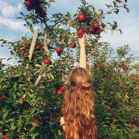 Idunn - keeper of apples and grantee of eternal youth Katie White, Oh My Goddess, Apple Picking, + Core + Aesthetic, Anne Of Green Gables, Green Gables, Apple Tree, Apples, A Girl