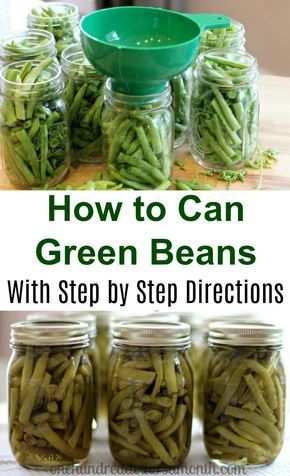 Easy Canning, Pressure Canning Recipes, Canning 101, Canning Fruit, Home Canning Recipes, Canning Vegetables, Preserve Food, Canning Food Preservation, Can Green Beans