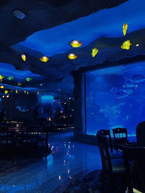 Blue Bar Aesthetic, Aquarium Sleepover, Makeup Display Ideas, Aquarium Layout, Pressure Oc, Spotify Ideas, Underwater Room, Sprinkle Sprinkle, Underwater Hotel