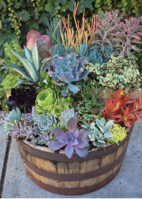 Barrel Garden Ideas, Barrel Planter Ideas, Barrel Garden Planters, Wine Barrel Garden, Wood Barrel Planters, Whiskey Barrel Planter, Barrel Flowers, Wine Barrel Planter, Wine Barrel Ideas