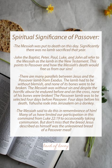 Passover Aesthetic, Passover 2024, Passover Christian, Passover Traditions, Christian Festival, Passover Food, Passover Feast, Passover Meal, Feast Of Unleavened Bread