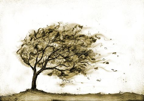 Tree in autumn storm. A storm in autumn blows leaves from a tree, whíte backgrou #Sponsored , #SPONSORED, #Sponsored, #storm, #Tree, #te, #blows Tree Line Drawing, Simple Tree Tattoo, Wind Tattoo, Wind Drawing, Storm Tattoo, Wild Is The Wind, Cloud Tattoo, Bare Tree, Leaf Drawing