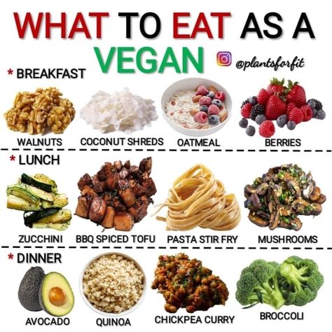 Vegan Eat In A Day, Full Day Of Eating Vegan, What I Eat In A Day Vegan, Vegan Weekly Meal Plan, Plant Based Meal Prep, Vegan For Beginners, Vegan Food List, Vegan Meal Plan, Plant Based Recipe