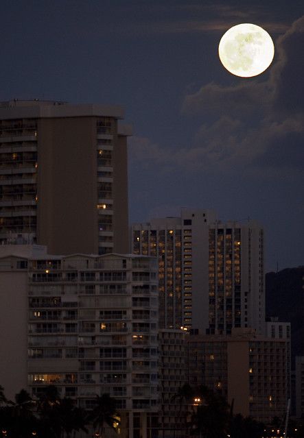 Green Sage, Dark Paradise, City Vibe, Honolulu Hawaii, July 25, Night City, Night Aesthetic, City Aesthetic, Aesthetic Backgrounds