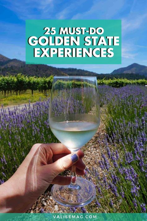 Things To Do In Santa Rosa California, Red Woods, Northern California Travel, Southern California Travel, California Coast Road Trip, Best Weekend Trips, Santa Rosa California, Wine Country Travel, California Travel Guide