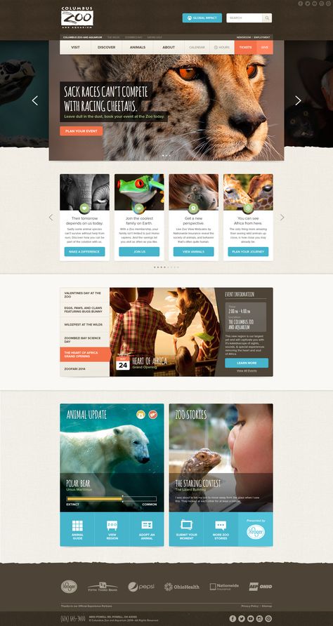 Aquarium Website Design, Zoo Poster Design, Safari Photography, Columbus Zoo, Website Design Layout, App Design Inspiration, Graphic Design Lessons, Website Layout, Web Layout