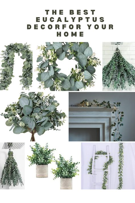 Eucalyptus can be an excellent choice for home decor due to its versatility, aesthetic appeal, and aromatic qualities. Here are several ways you can incorporate eucalyptus into your home decor #homedecoration#homedecor#eucalyptushomedecor Eucalyptus Wall Decor, Eucalyptus Decor, Vase With Branches, Home Decorations Ideas, Faux Branches, Fresh Eucalyptus, Greenery Decor, Dried Eucalyptus, Faux Leaf