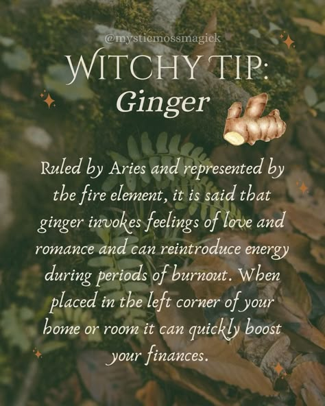 Ginger is ruled by Aries and the fire element 🔥 and is used for passion, new love, lust, romance, relationships, burnout, prosperity, energy, and amplifies any spells or mojo bags. Imagine using this with lemon peel to get any spells working IMMEDIATELY! It’s also great for invoking physical strength and courage. 🌿✨ Want to learn more about herbs and autumn Magick? Head to the link in my bio to get access to newsletters packed with more information like this! 🌙 . . . #herbmagick #herbs #gree... Invoking The Elements, Fire Spells, Lust Spell, Witch Tips, Witch Herbs, Mojo Bags, Plant Magic, Witch Spirituality, Kitchen Witchery