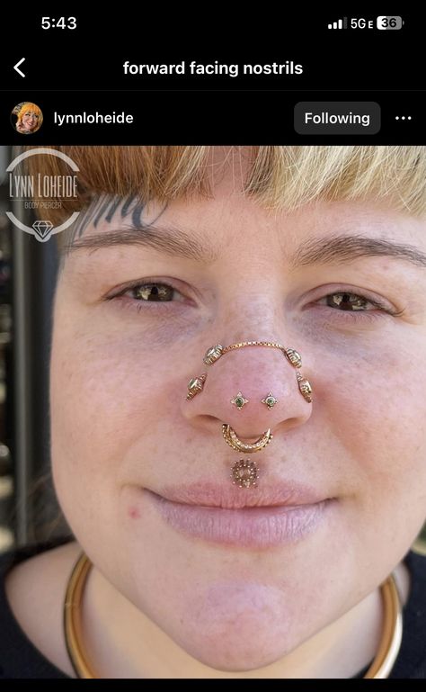 Mantis Piercing, Septum Stack, Different Types Of Piercings, Facial Piercings, Types Of Piercings, Piercing Ideas, Tattoo Inspo, Body Mods, Body Jewellery