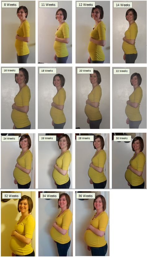 Pregnant Belly Month By Month, 2 Month Pregnant Belly, One Month Pregnant Belly, 1 Month Pregnant Belly, 11 Weeks Pregnant Belly, Belly Pictures Pregnant, 6 Weeks Pregnant Belly, Pregnant Belly Week By Week, 12 Weeks Pregnant Belly