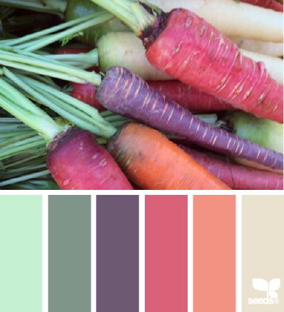 Carrot hues, a design post from the blog design seeds, written by design seeds on Bloglovin'. Coloring Palette, Palette Green, Seeds Color, Milk Products, Palette Design, Color Board, Color Schemes Colour Palettes, Color Palate, Design Seeds