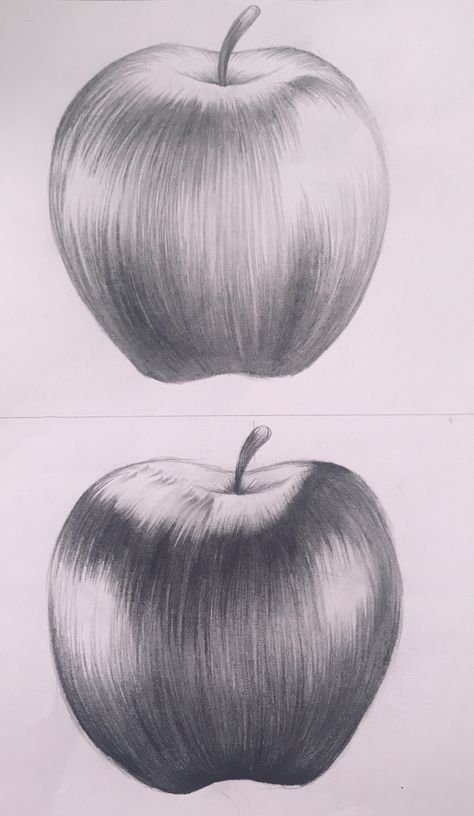 Fruits Pencil Shading, Apple Pencil Shading, Fruits Sketches Pencil, Fruit Pencil Drawing, Easy Realistic Drawings, Apple Pencil Drawing, Pencil Sketches Landscape, Apple Sketch, Apple Drawing