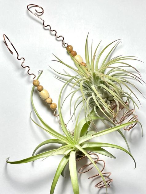 Wire Wrapped Beaded Hanging Air Plant Holders Set of 2 Hangers Only - Etsy Rock Air Plant Holder, Driftwood Air Plant Holder, Hanging Air Plant Display Ideas, Air Plants Diy Display, Air Plant Display Ideas, Air Plant Ornament, Air Plant Art, Air Plants Diy, Air Plants Decor