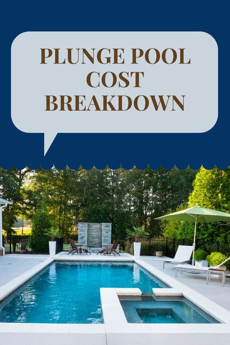 Small Plunge Pool, Plunge Pool Cost, Swimming Pools Backyard Landscape, Small Pools Backyard, Small Inground Pool, Pools For Small Yards, Pool Cost, Simple Pool, Small Backyard Design Ideas