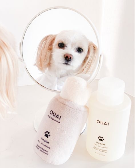 Dog Skincare Aesthetic, Dog Grooming Instagram Ideas, Dog Products Photography, Dog Product Photography, Pet Shampoo Photography, Pet Shampoo Packaging Design, Pet Branding, Pet Spray, Pet Spa