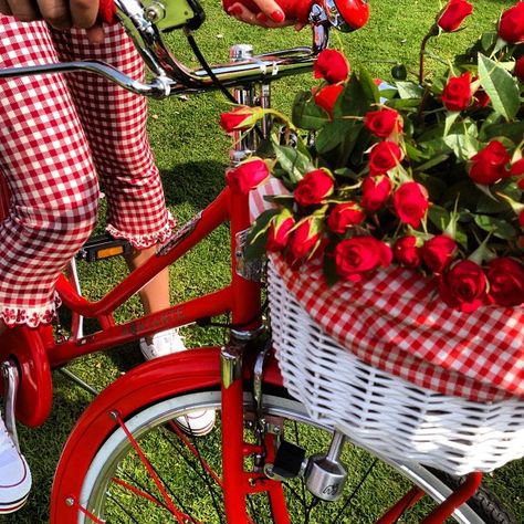 Bicycle With Flowers, Bike With Basket, Red Bike, Velo Vintage, Gingham Fashion, Red Cottage, Cycle Chic, I Want To Ride My Bicycle, Beautiful Bike