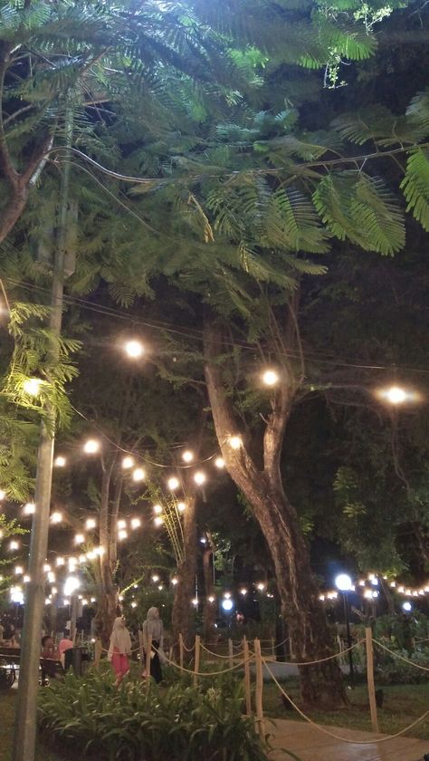 Park Asthetic Picture, Stories Cafe, Au Pics, Tree Story, Park Ideas, Asthetic Picture, Food Aesthetics, Snap Snapchat, Instagram Profile Picture Ideas