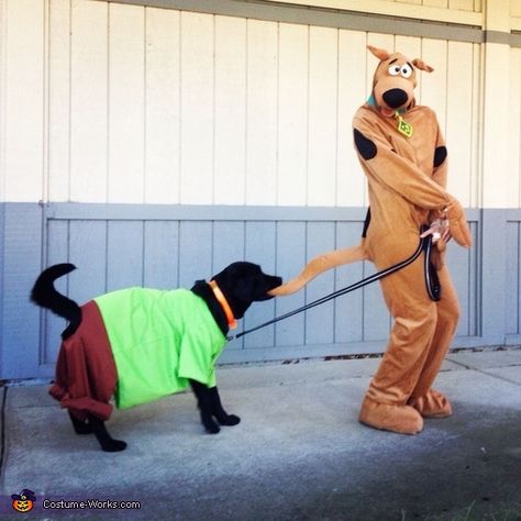 Scooby and Shaggy - Store Bought costumes for pets Scooby Costume, Hollowen Costume, Costume With Dog, Scooby Doo Diy Costume, Shaggy Costume, Costumes For Pets, Scooby And Shaggy, Boxing Halloween Costume, Halloween Costumes 2014