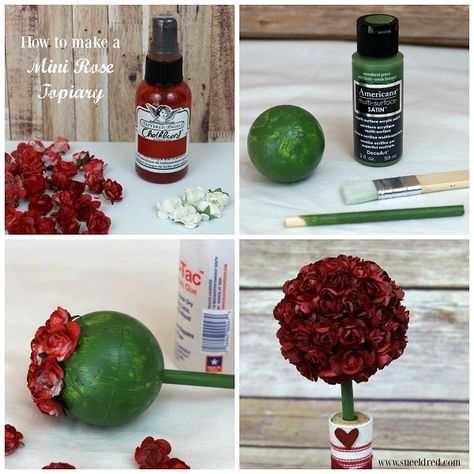 Rose Topiary Diy, Rose Topiary, Topiary Diy, Red And White Roses, Topiaries, Mini Roses, A Rose, White Rose, A Thing