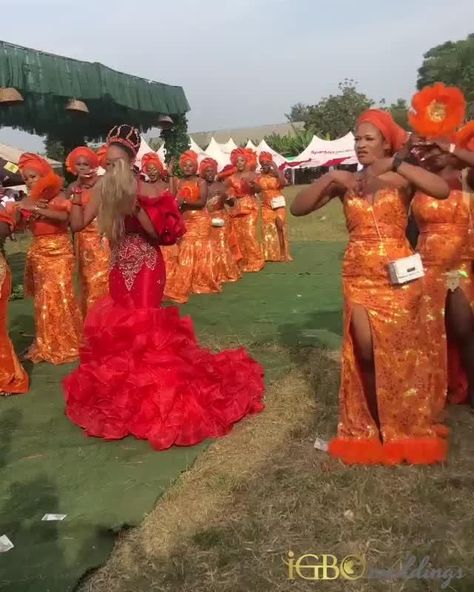 Igbo Wedding [Video] | Nigerian wedding dresses traditional, African traditional wedding dress, Igbo bride traditional weddings First Outing For Igbo Traditional Marriage, Traditional Wedding Dress For Bride, Nigerian Traditional Wedding Dress, Dresses Traditional African, Igbo Bride Traditional Weddings, Traditional Wedding Styles, Nigerian Wedding Dresses, Traditional Nigerian Wedding, Traditional African Wedding