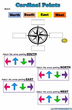 Cardinal Points Worksheets, Grade 1 Worksheets, Cardinal Points, Preschool Number Worksheets, Cardinal Point, Elementary Social Studies, Cardinal Directions, Homeschool Lesson Plans, Bible Activities For Kids