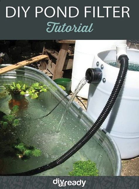 Filter Tutorial, Backyard Ducks, Taman Air, Diy Pond, Pond Filters, Pond Water Features, Duck Pond, Aquaponics System, Pond Design