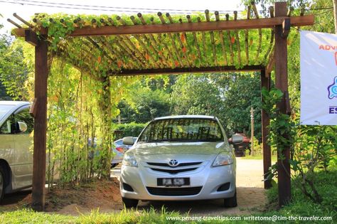 Pergola Entrance, Wooden Carports, Garden Gates And Fencing, Pergola Carport, Riverside House, Hillside Landscaping, Pergola Garden, Garden Design Layout, Garden Arches