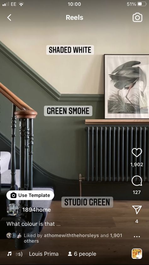 Green And White Staircase, Two Tone Hallway Green, Staircase Dado Rail, Dark Green Skirting Boards, Sage Green And Black Hallway, Sage Green Stairway, Landing And Hallway Colour Ideas, Green Painted Staircase, Green Hallways And Stairs