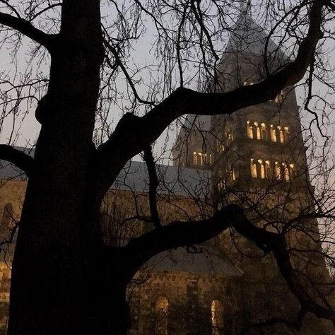 Oxford Dark Academia, Dark Acadamia, Chaotic Academia, Aesthetic Dark Academia, Hogwarts Aesthetic, Dark Autumn, Phone Ideas, Harry Potter Aesthetic, Dark Academia Aesthetic