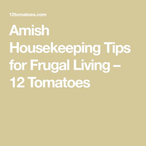 Amish Housekeeping Tips for Frugal Living – 12 Tomatoes Amish Home, Harmful Insects, Amish House, Large Tub, Housekeeping Tips, Disinfectant Spray, 12 Tomatoes, Grease Stains, Mosquito Repellent