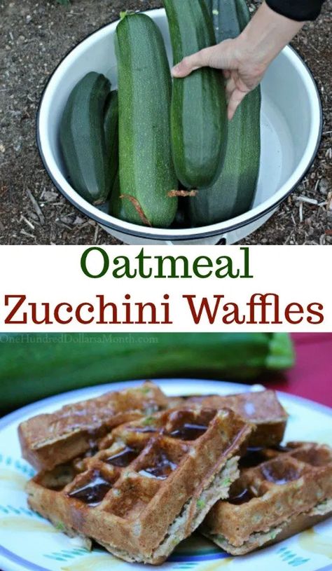 Oatmeal Zucchini, Zucchini Waffles, Zucchini Oatmeal, Oatmeal Waffles, Waffle Iron Recipes, Waffle Maker Recipes, Mexican Breakfast Recipes, Waffle Recipes, Pancakes And Waffles