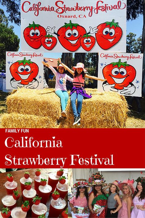 Strawberry Festival Ideas, State Fairs, Fruit Festival, Strawberry Festival, Strawberry Season, Family Festival, Festival Ideas, Water Wall, Craft Festival