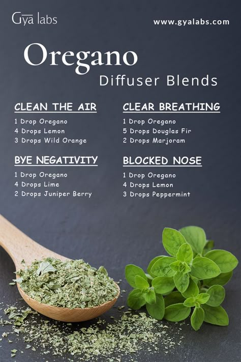 A bottle of Oregano essential oil blend surrounded by fresh oregano leaves and a diffuser, with the text "Oregano Essential Oil Blend for Natural Wellness and Immune Support" displayed in elegant typography. Oregano Oil Benefits, Oregano Essential Oil, Aromatherapy Recipes, Essential Oil Diffuser Blends Recipes, Oregano Oil, Essential Oils Herbs, Essential Oils Health, Oil Diffuser Recipes, Essential Oil Diffuser Recipes