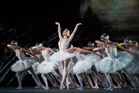 Paige Hyland, Swan Lake Ballet, Brooke Hyland, The Royal Ballet, Ballerina Project, Paris Opera Ballet, Royal Opera House, Alvin Ailey, Ballet Poses