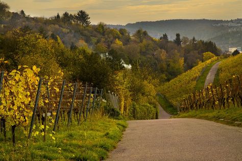 Germany in September: Travel Tips, Weather & More Time In Germany, Best Christmas Markets, Cultural Capital, Visit Germany, Summer Road Trip, Wine Region, Germany Travel, Scenic Drive, Travel Agent