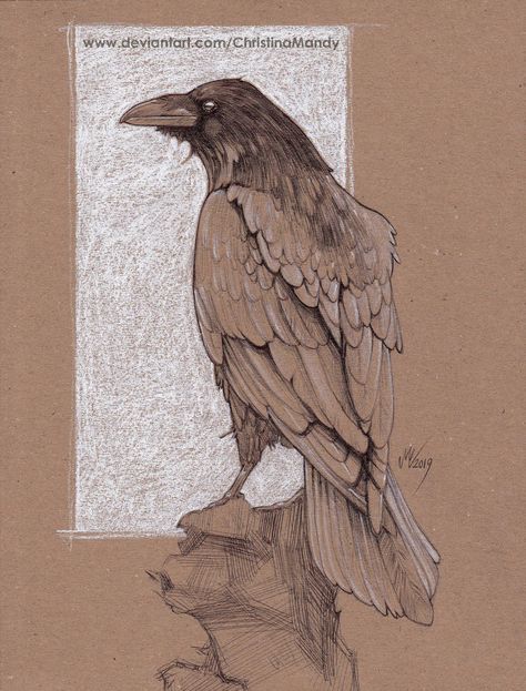 Crow study by ChristinaMandy Crow Artwork, Crows Drawing, Drawing Study, Raven Bird, A Crow, Crow Art, Raven Art, New Retro Wave, Desenho Tattoo