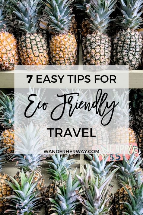 Ethical Travel, Popular Travel Destinations, Eco Travel, Travel Blogging, Help The Environment, Slow Travel, Eco Friendly Travel, Sustainable Travel, Travel The World